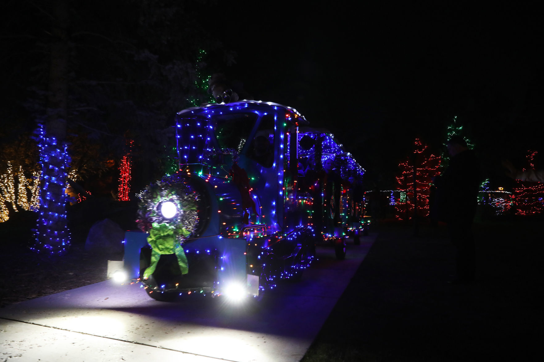 Holiday Lights Train